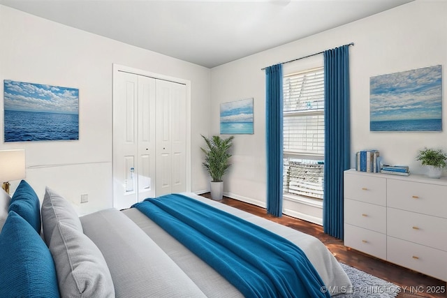 bedroom featuring dark hardwood / wood-style flooring and a closet