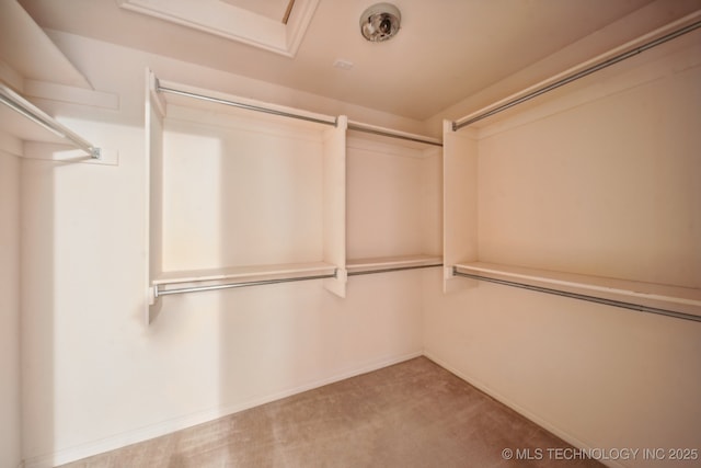 spacious closet with light carpet