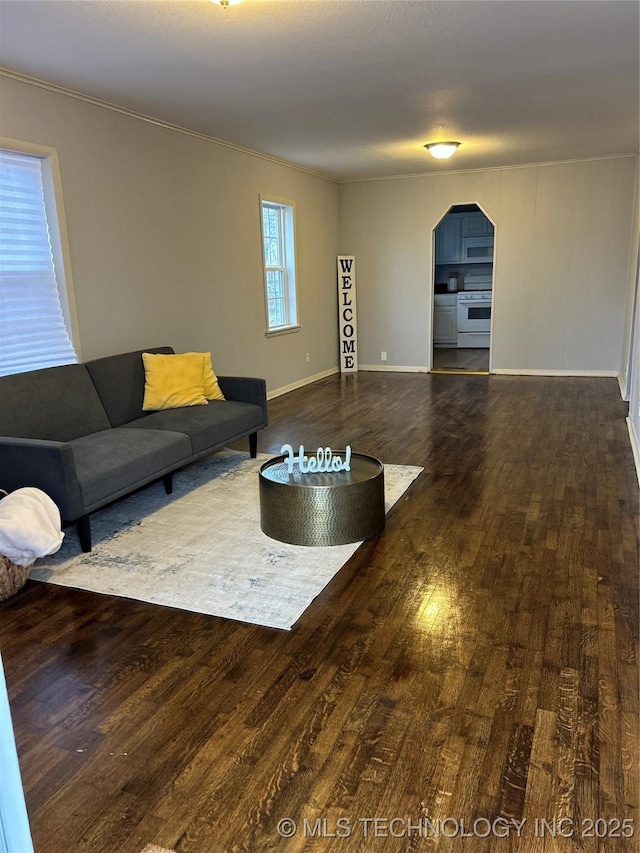 living room with crown molding and dark hardwood / wood-style floors