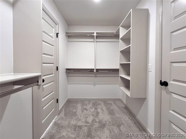 walk in closet with light colored carpet