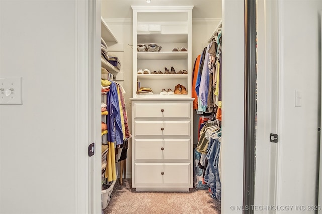 walk in closet with light colored carpet