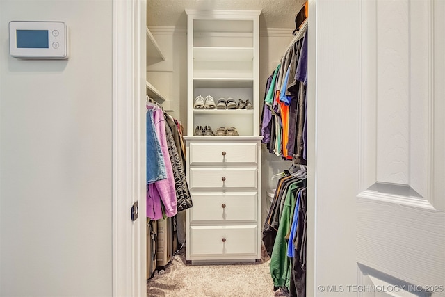 spacious closet featuring light colored carpet