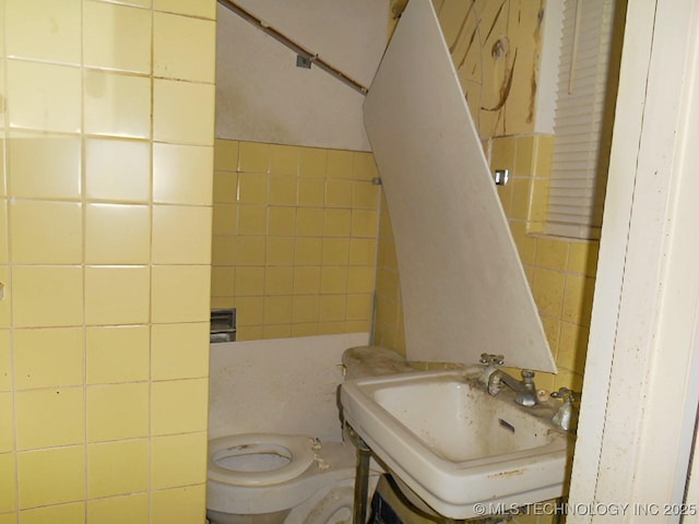 bathroom with sink and toilet