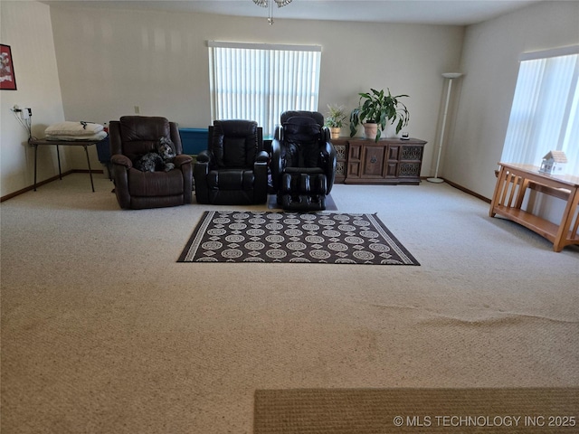 view of carpeted living room