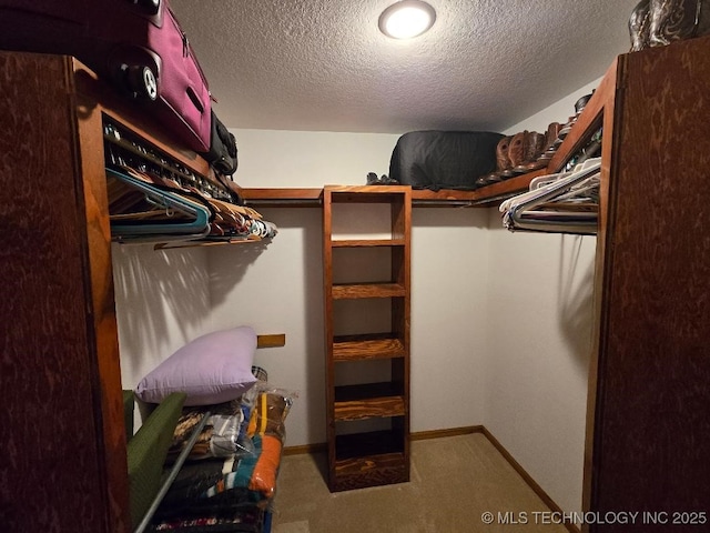 walk in closet featuring carpet flooring