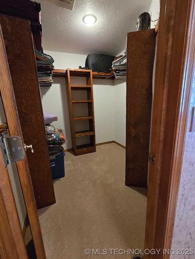 spacious closet with light carpet