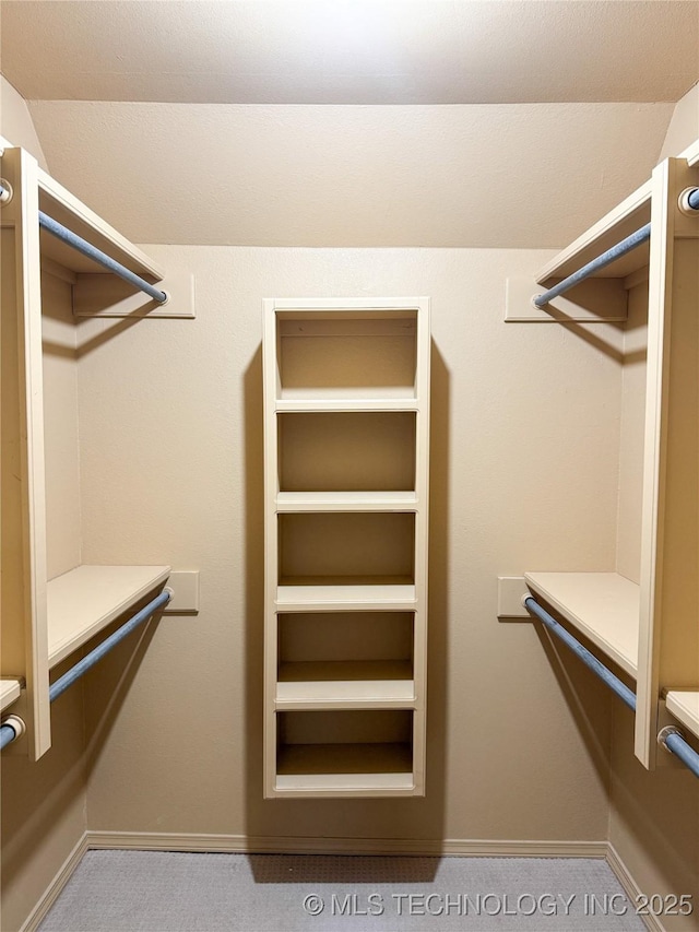 spacious closet with carpet floors