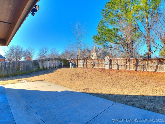 view of yard with a patio area