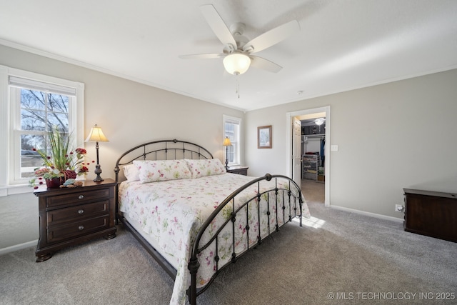 carpeted bedroom featuring a walk in closet, ornamental molding, a closet, and ceiling fan