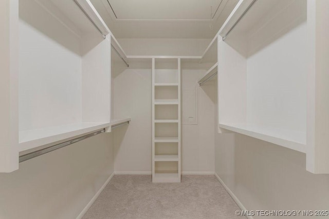 spacious closet featuring light carpet