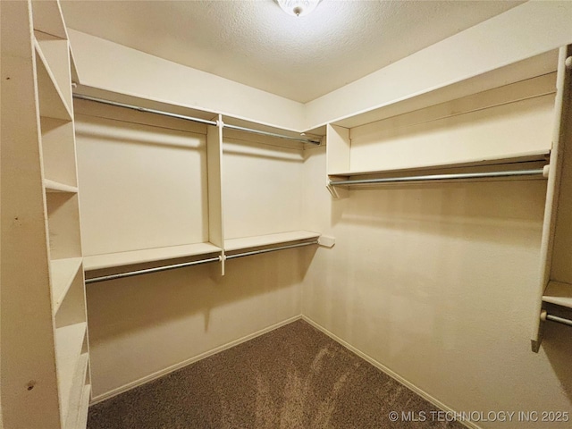 spacious closet with carpet floors