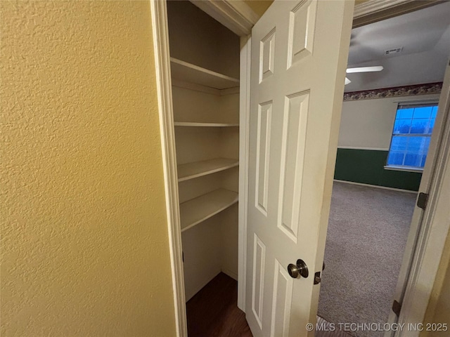 closet with visible vents