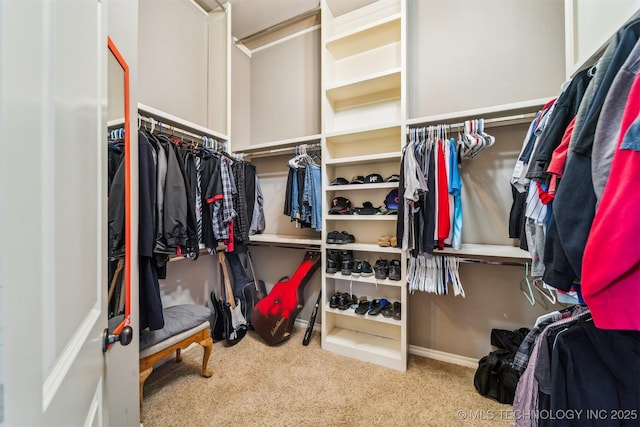 walk in closet featuring light carpet