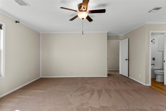 spare room with crown molding, carpet, and a textured ceiling