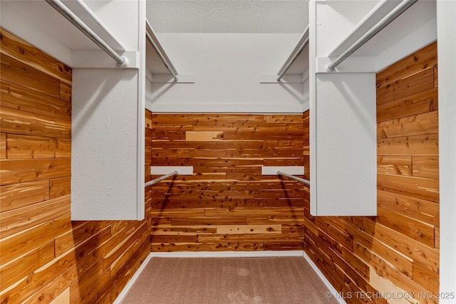 walk in closet with carpet floors