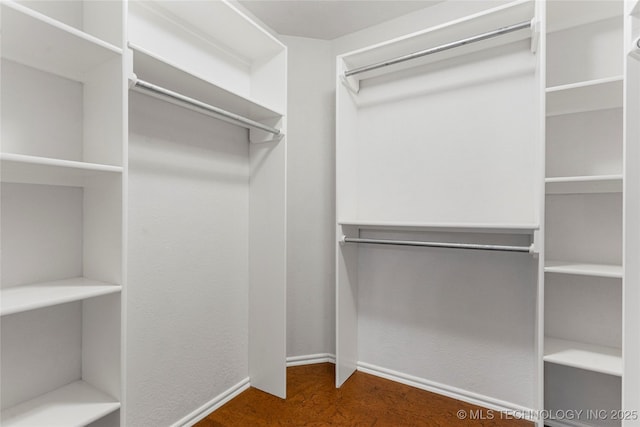 view of walk in closet