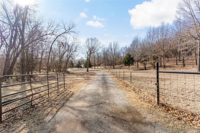 view of street with a rural view