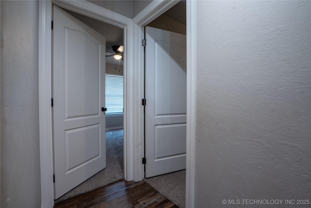 hall with dark hardwood / wood-style floors