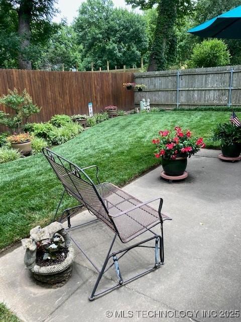 view of yard featuring a patio