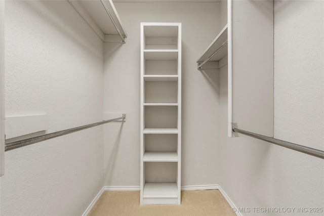 walk in closet featuring light carpet