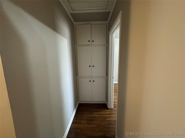 hallway featuring dark wood-type flooring