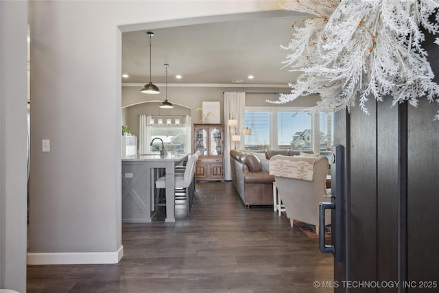 living room featuring dark hardwood / wood-style flooring and sink