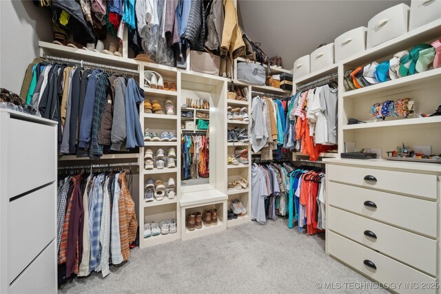 spacious closet with light carpet