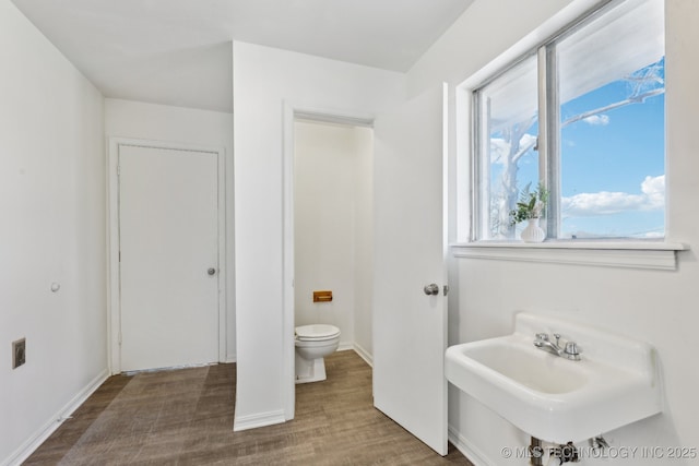 bathroom featuring a sink, wood finished floors, and toilet