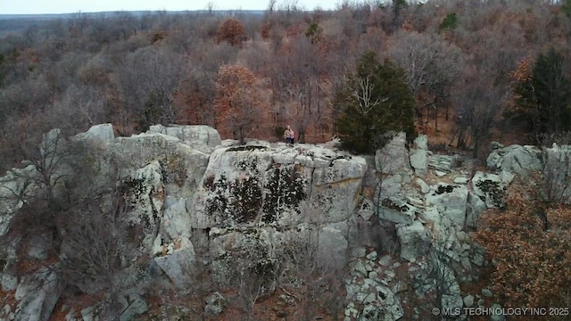 view of nature