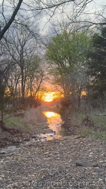 view of nature at dusk