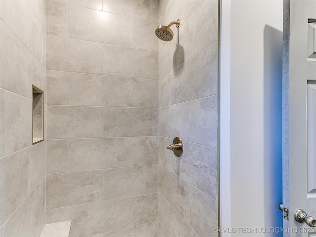 interior details with tiled shower