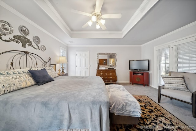 carpeted bedroom featuring ceiling fan, ornamental molding, a tray ceiling, and multiple windows