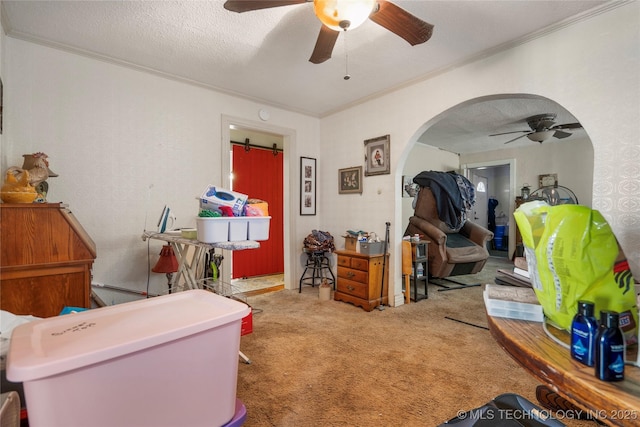 misc room with ceiling fan, crown molding, carpet floors, and a textured ceiling