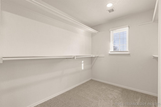 spacious closet featuring carpet