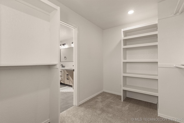 walk in closet featuring carpet floors