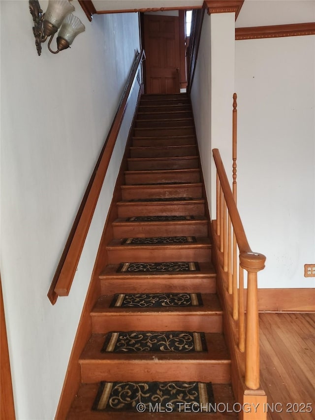 staircase featuring wood-type flooring