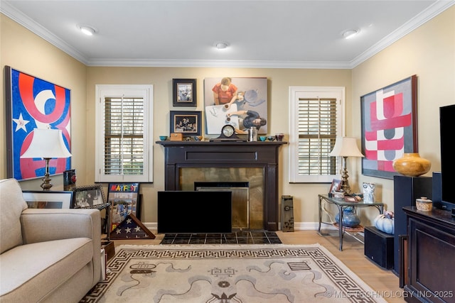 living room with wood-type flooring and crown molding