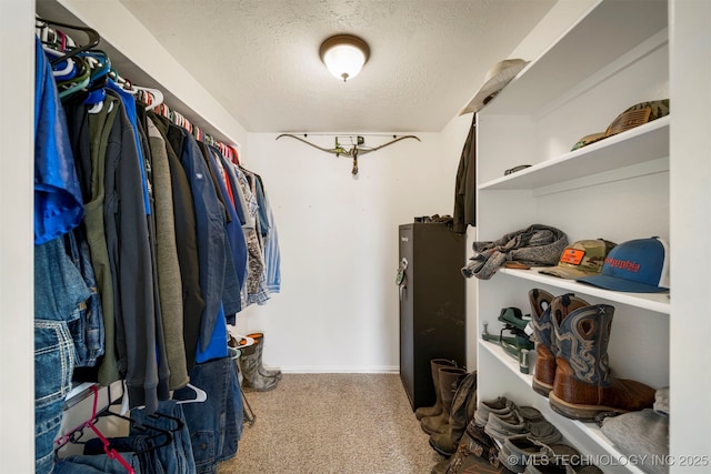 spacious closet featuring carpet