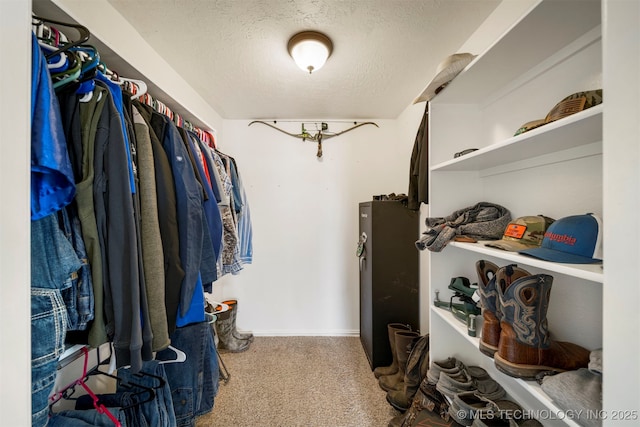 walk in closet with carpet