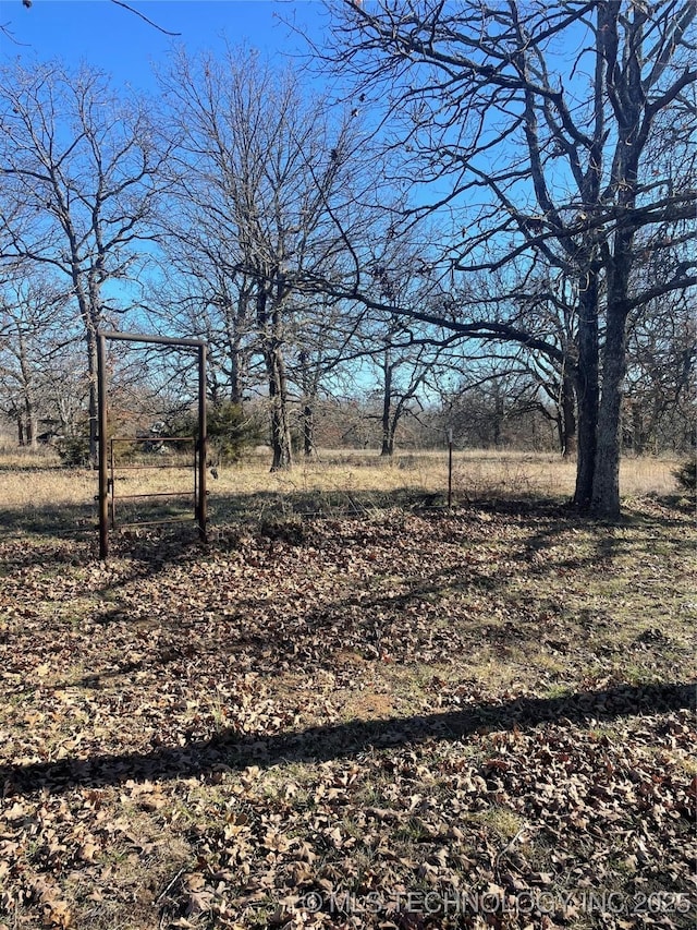 view of local wilderness