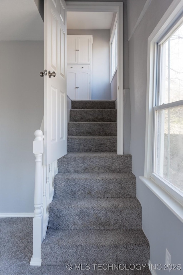 stairs featuring carpet floors