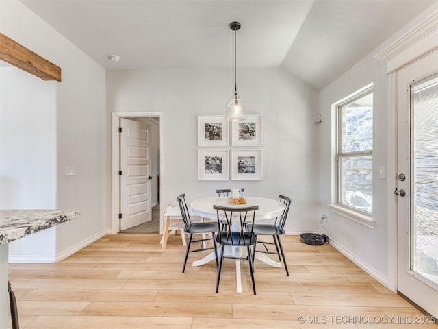 dining room with a healthy amount of sunlight and light wood-type flooring