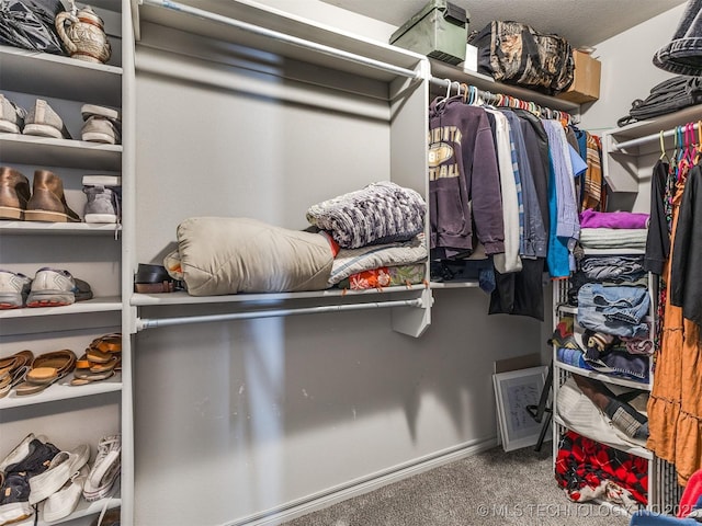 walk in closet featuring carpet floors