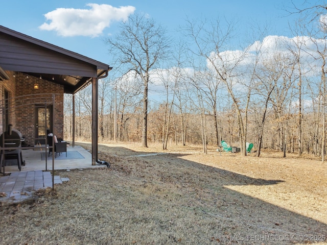 view of yard with a patio