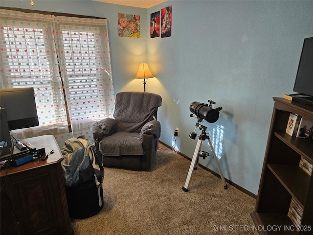 living area with carpet flooring