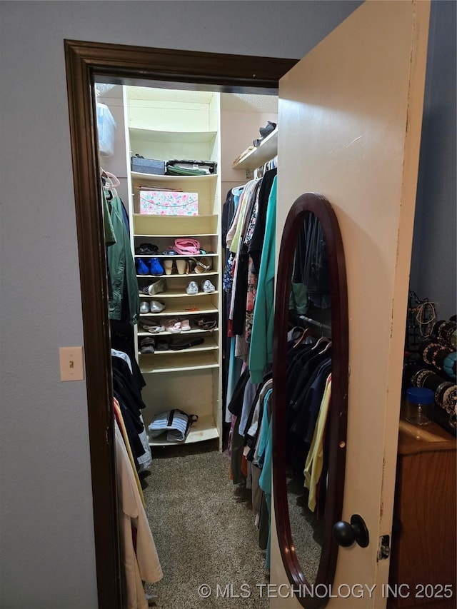 spacious closet with carpet floors