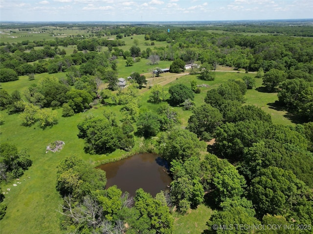 432756 E 320th Rd, Big Cabin, OK 74332 - bird's eye view featuring a water view