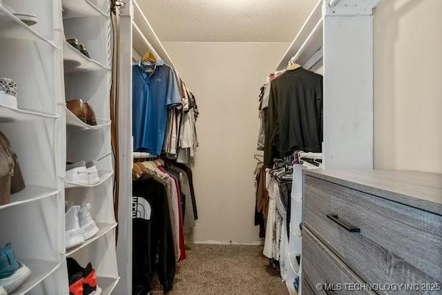 spacious closet with carpet flooring