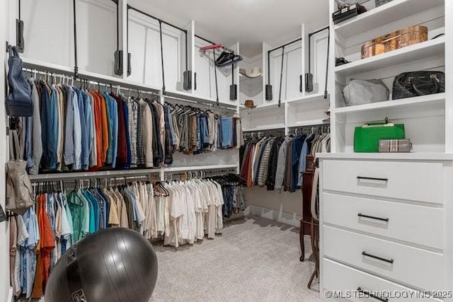 spacious closet with light carpet