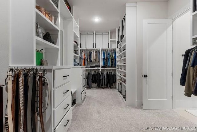 walk in closet with light carpet